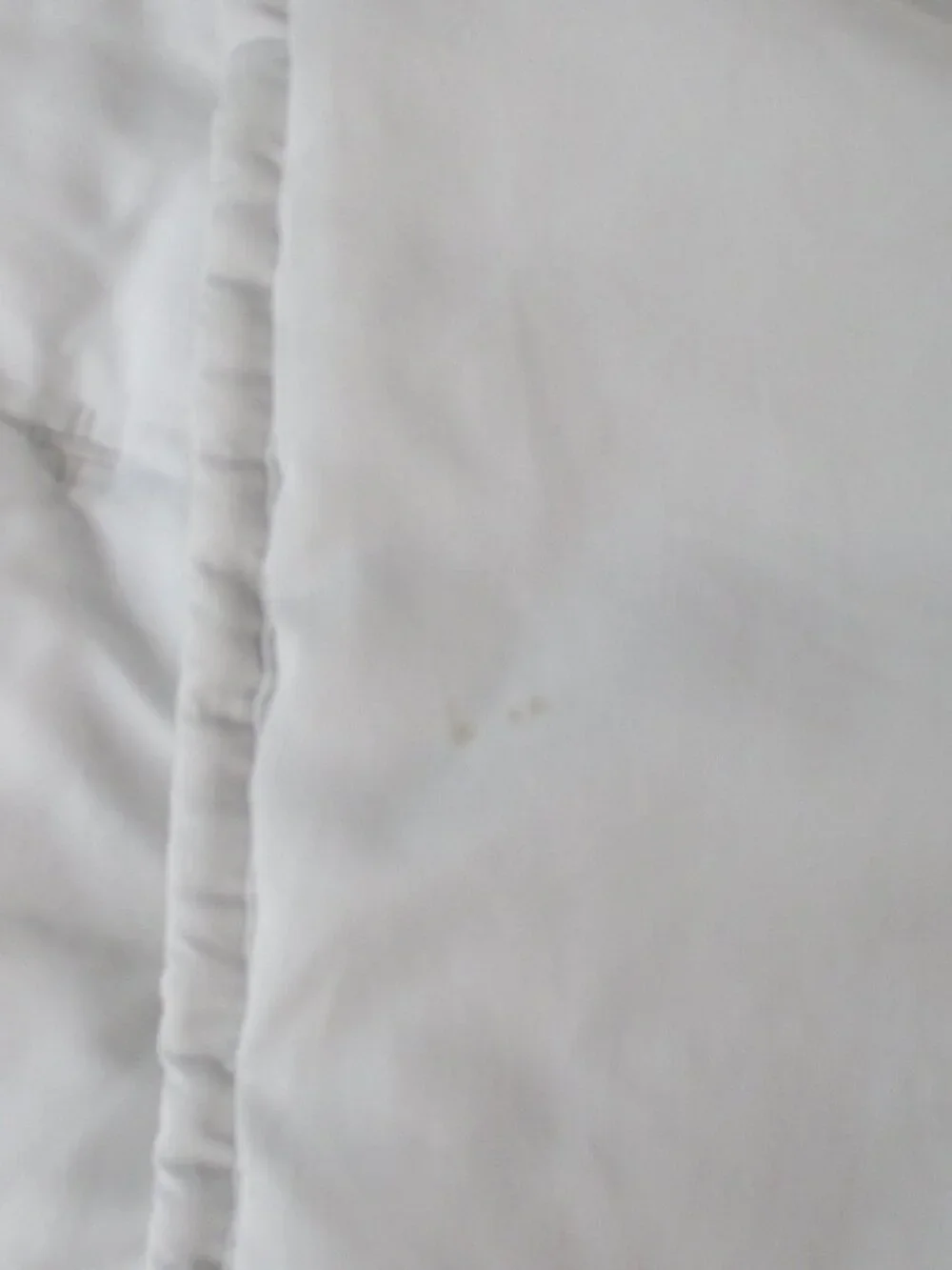 SET OF 2 POTTERY BARN CROSS STITCH QUILTED SHAMS